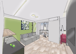 Заказать  on-line персональный Блиц-проект интерьеров жилого пространства в г. Таллин  . Кухня-гостиная 17м2